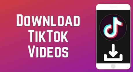 download vídeo do tiktok pelo Snaptik